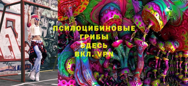 spice Саяногорск