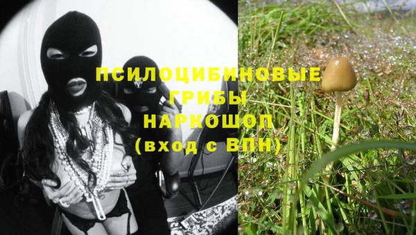ALPHA-PVP Белокуриха
