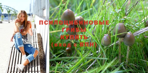 хмурый Беломорск
