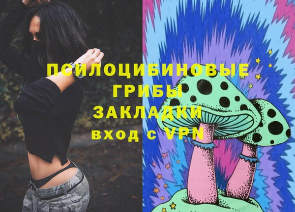 ALPHA-PVP Белокуриха