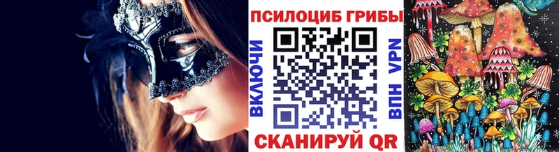 блэк спрут ССЫЛКА  Магас  Псилоцибиновые грибы Cubensis 