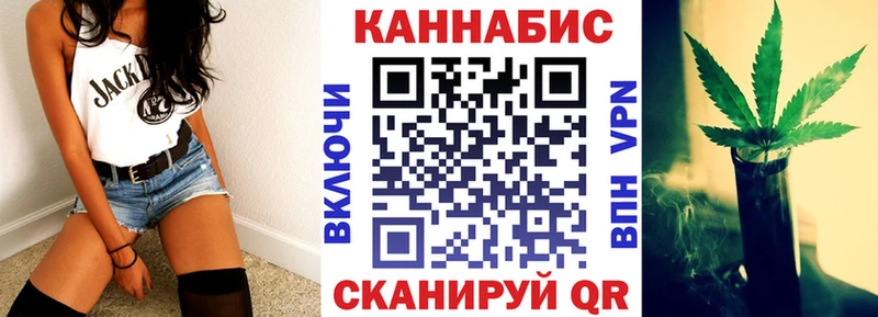 Каннабис сатива  купить  сайты  Магас 